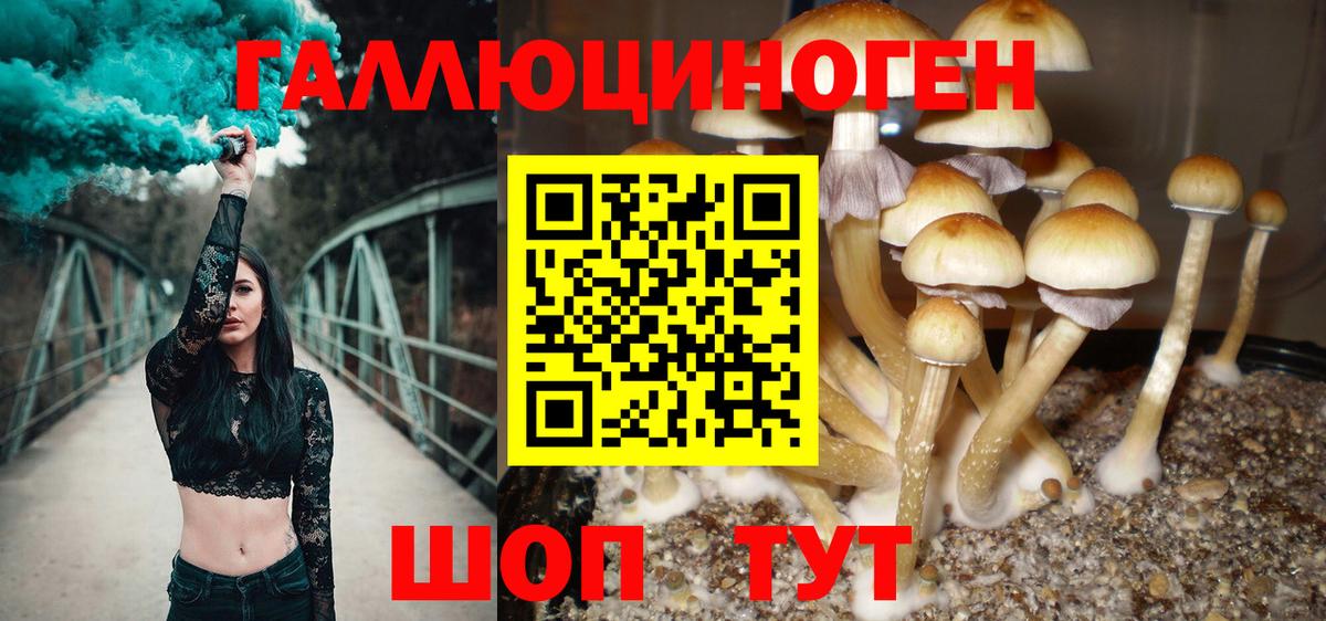 Галлюциногенные грибы мухоморы Ессентуки