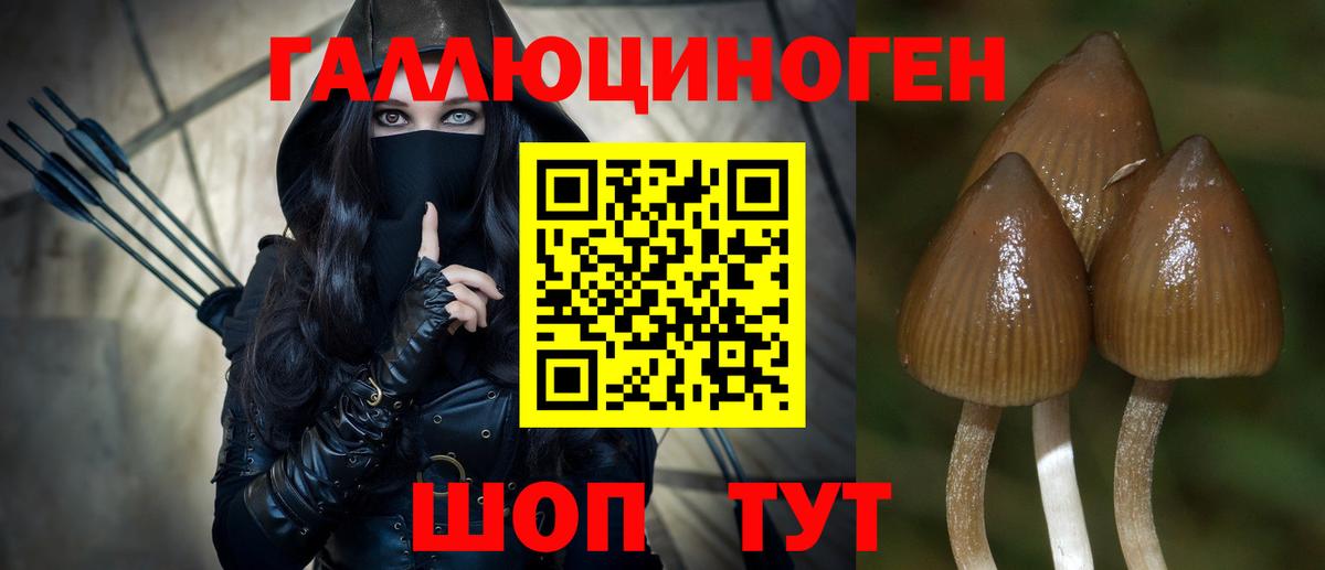 Псилоцибиновые грибы мицелий  Вход с VPN  Галлюциногенные грибы Psilocybe  где можно купить наркотик  Ессентуки 